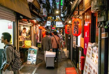 Employment Overview: Japan